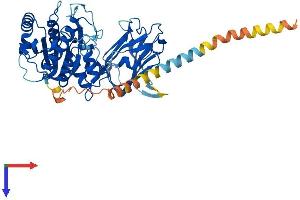 MGAT4C Protein (AA 1-478) (His tag)
