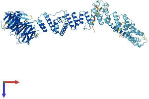 TGFBRAP1 Protein (AA 1-860) (His tag)