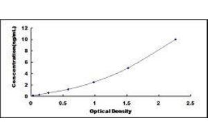 Typical standard curve (SLIT1 ELISA Kit)