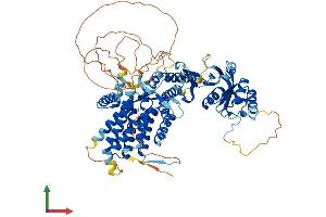 Protein Structure (PS) image for Bardet-Biedl Syndrome 12 (BBS12) (AA 1-710) protein (His tag) (ABIN7552574)