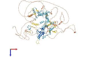 PRDM10 Protein (AA 1-1184) (His tag)