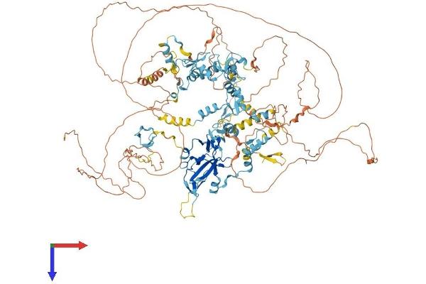PRDM10 Protein (AA 1-1184) (His tag)