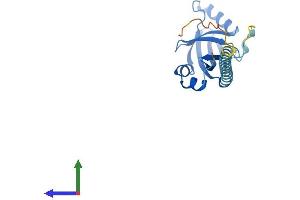 AlphaFold protein structure predicition of Mouse Recombinant Cbfb Protein, UniprotID Q08024