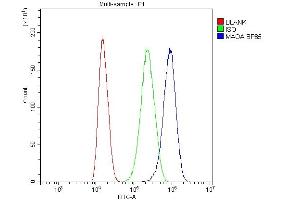Flow Cytometry analysis of U87 cells using anti-MAOA antibody (ABIN3043872).