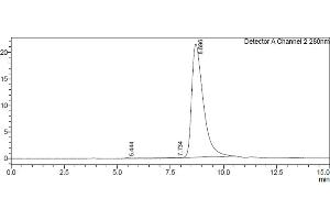 Size-exclusion chromatography-High Pressure Liquid Chromatography (SEC-HPLC) image for Fc Fragment of IgG, High Affinity Ia, Receptor (CD64) (FCGR1A) (AA 16-281) protein (His-Avi Tag) (ABIN7536863)