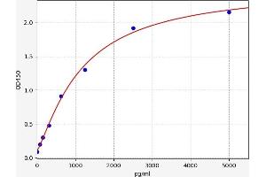 Angiotensin II Type-1 Receptor ELISA Kit