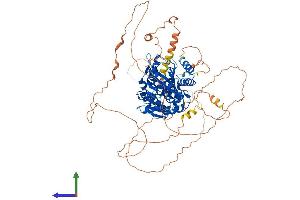 Protein Structure (PS) image for DENN/MADD Domain Containing 1C (DENND1C) (AA 1-786) protein (His tag) (ABIN7559309)