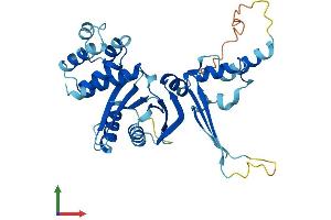 Protein Structure (PS) image for Centromere Protein N (CENPN) (AA 1-337) protein (His tag) (ABIN7560805)