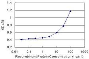 Sandwich ELISA detection sensitivity ranging from 3 ng/mL to 100 ng/mL. (OXSR1 (Human) Matched Antibody Pair)