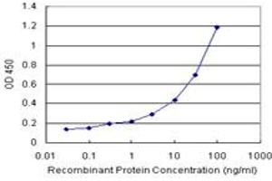CEBPG (Human) Matched Antibody Pair