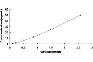 Typical standard curve (DNAJC4 ELISA Kit)