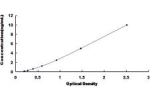 Typical standard curve (CEACAM7 ELISA Kit)