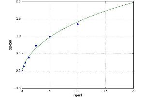 A typical standard curve