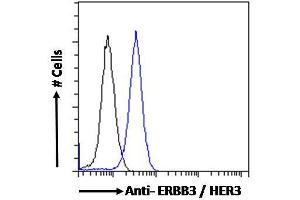 ABIN185461 Flow cytometric analysis of paraformaldehyde fixed MCF7 cells (blue line), permeabilized with 0. (ERBB3 Antikörper  (C-Term))