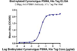 ELISA image for Folate Hydrolase (Prostate-Specific Membrane Antigen) 1 (FOLH1) (AA 44-750) protein (His tag,Biotin) (ABIN7275489)