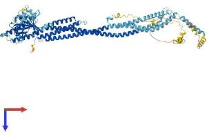 MFN1 Protein (AA 1-741) (His tag)