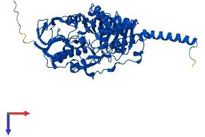Monoamine Oxidase A Protein (MAOA) (AA 1-527) (His tag)