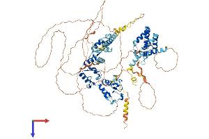 AlphaFold protein structure predicition of Human Recombinant ZNF598 Protein, UniprotID Q86UK7