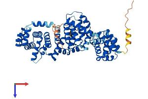 Protein Structure (PS) image for ATPase, H+ Transporting, Lysosomal 50/57kDa, V1 Subunit H (ATP6V1H) (AA 1-483) protein (His tag) (ABIN7545046)