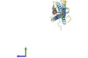 AlphaFold protein structure predicition of Mouse Recombinant Tmem204 Protein, UniprotID Q7TQI0 (TMEM204 Protein (AA 1-226) (His tag))