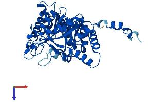 ALAD Protein (AA 1-330) (His tag)