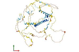 Protein Structure (PS) image for Papillary Renal Cell Carcinoma (Translocation-Associated) (PRCC) (AA 1-491) protein (His tag) (ABIN7551014)