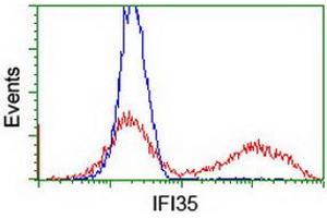 HEK293T cells transfected with either RC200929 overexpress plasmid (Red) or empty vector control plasmid (Blue) were immunostained by anti-IFI35 antibody (ABIN2454904), and then analyzed by flow cytometry. (IFI35 Antikörper)