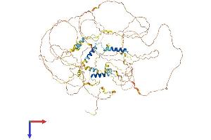 SYNPO Protein (AA 1-929) (His tag)