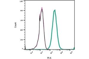 Direct flow cytometry of Stichodactyla Toxin in live intact rat  cells.