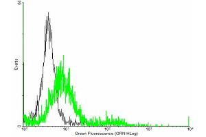 FACS analysis of negative control 293 cells (Black) and TIAM2 expressing 293 cells (Green) using TIAM2 purified MaxPab mouse polyclonal antibody.