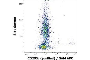 Flow cytometry surface staining pattern of IgE stimulated human peripheral whole blood stained using anti-human CD203c (NP4D6) purified antibody (concentration in sample 2 μg/mL, GAM APC).