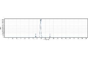 The purity of Anti-CD52 Reference Antibody (alemtuzumab) is 96. (Rekombinanter CD52 (Alemtuzumab Biosimilar) Antikörper)