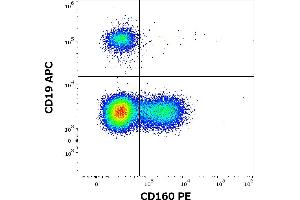 Flow cytometry multicolor surface staining of human lymphocytes stained using anti-human CD160 (BY55) PE antibody (10 μL reagent / 100 μL of peripheral whole blood) and anti-human CD19 (LT19) APC antibody (10 μL reagent / 100 μL of peripheral whole blood). (CD160 Antikörper  (PE))