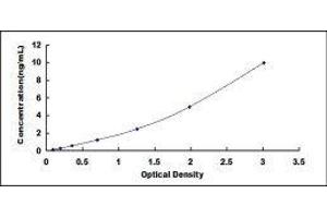 Crystallin, gamma F (CRYGF) ELISA Kit