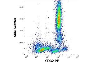 Flow cytometry surface staining pattern of human peripheral whole blood stained using anti-human CD32 (3D3) PE antibody (10 μL reagent / 100 μL of peripheral whole blood). (Fc gamma RII (CD32) Antikörper (PE))