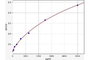 TIMP Metallopeptidase Inhibitor 4 (TIMP4) ELISA Kit