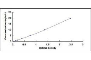 Typical standard curve (PCDH15 ELISA Kit)