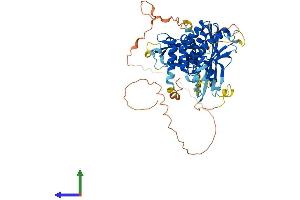 Protein Structure (PS) image for Lengsin, Lens Protein with Glutamine Synthetase Domain (LGSN) (AA 1-563) protein (His tag) (ABIN7559383)