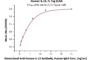 Immobilized Human IL-13, Fc Tag (ABIN6923159,ABIN6938841) at 5 μg/mL (100 μL/well) can bind Monoclonal A IL-13 Antibody, Human IgG4 with a linear range of 0. (IL-13 Protein (AA 21-132) (Fc Tag))
