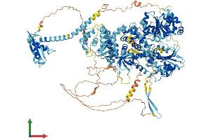 Protein Structure (PS) image for DEAH (Asp-Glu-Ala-His) Box Polypeptide 29 (DHX29) (AA 1-1365) protein (His tag) (ABIN7564130)