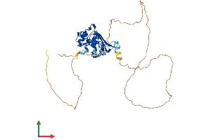 Protein Structure (PS) image for Heterogeneous Nuclear Ribonucleoprotein A1 (HNRNPA1) (AA 1-372) protein (His tag) (ABIN7551499)
