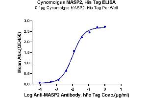 Immobilized Cynomolgus MASP2, His Tag at 1 μg/mL (100 μL/well) on the plate. (MASP2 Protein (AA 287-686) (His tag))