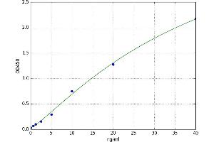 A typical standard curve