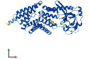 Protein Structure (PS) image for Tetratricopeptide Repeat Domain 5 (TTC5) (AA 1-440) protein (His tag) (ABIN7560369)