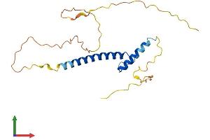 Protein Structure (PS) image for Musculin (MSC) (AA 1-206) protein (His tag) (ABIN7549592)