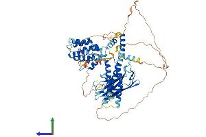 Protein Structure (PS) image for Golgi-Associated, gamma Adaptin Ear Containing, ARF Binding Protein 1 (GGA1) (AA 1-635) protein (His tag) (ABIN7559631)