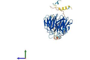 Protein Structure (PS) image for Fizzy/cell Division Cycle 20 Related 1 (FZR1) (AA 1-496) protein (His tag) (ABIN7553969)