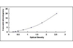 Typical standard curve