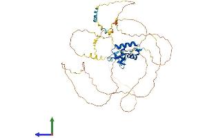 Protein Structure (PS) image for Forkhead Box G1 (FOXG1) (AA 1-481) protein (His tag) (ABIN7557643)