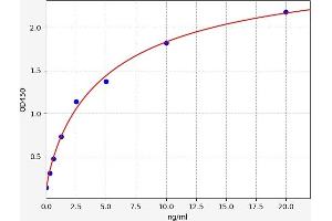 Typical standard curve (CAPN1 ELISA Kit)